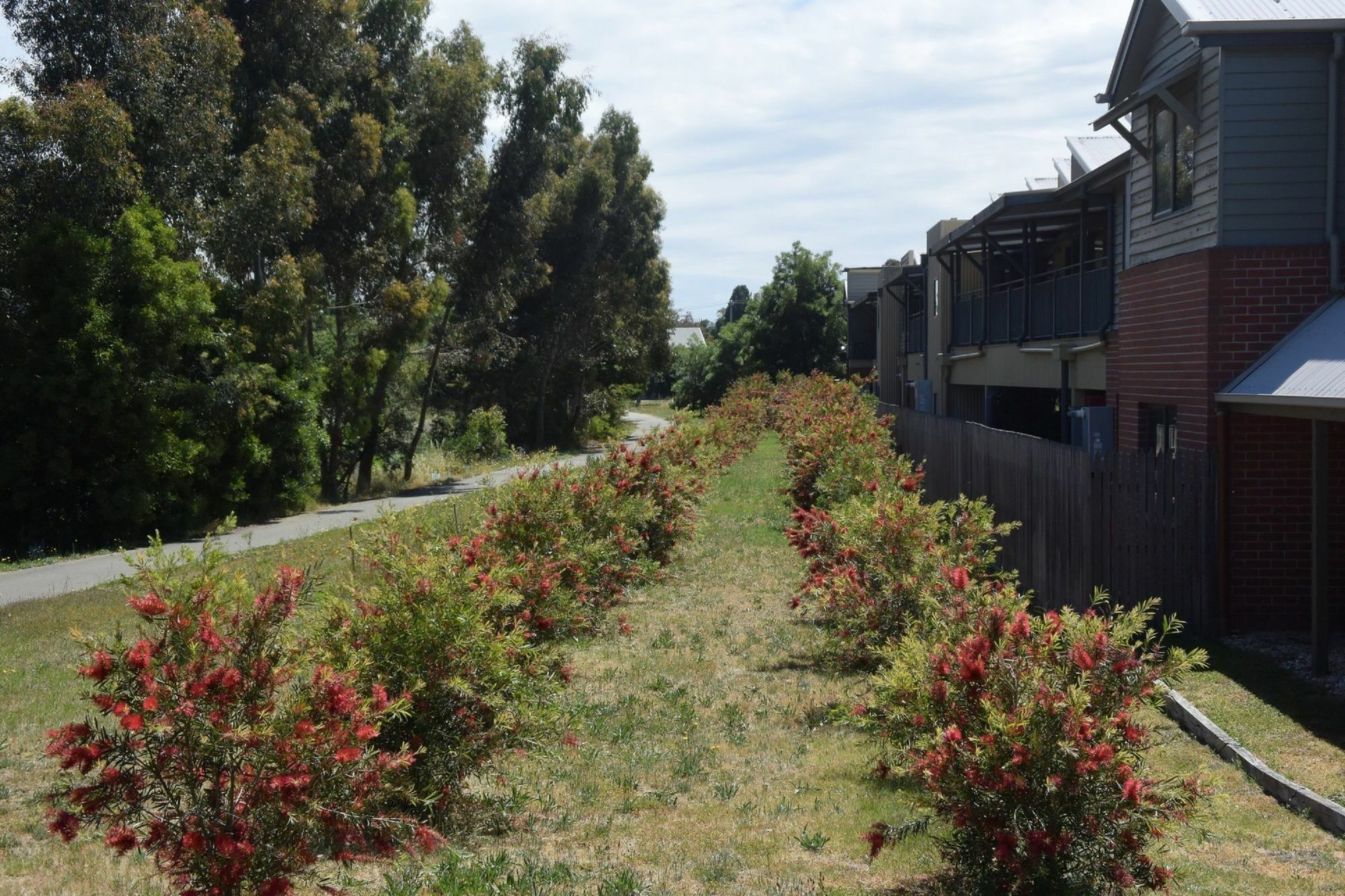 Sovereign Views Apartments Ballarat Bagian luar foto